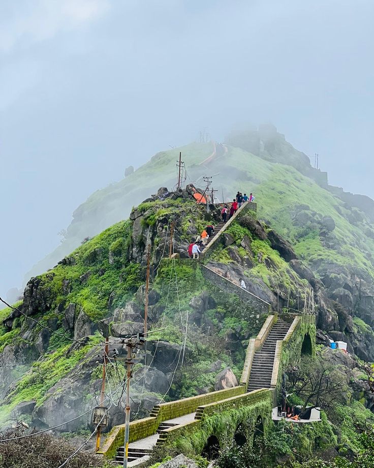 Tent Setup
